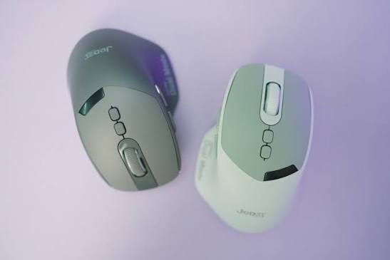 Mouse WD155